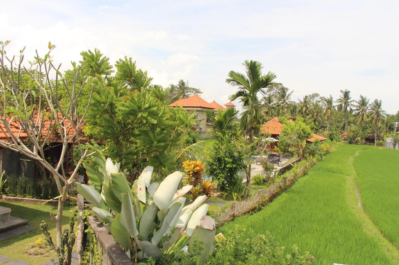 Nur Guest House By Purely Ubud  Exterior photo