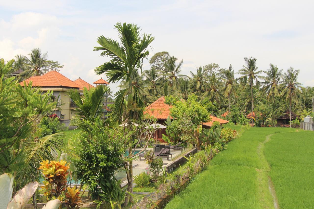 Nur Guest House By Purely Ubud  Exterior photo